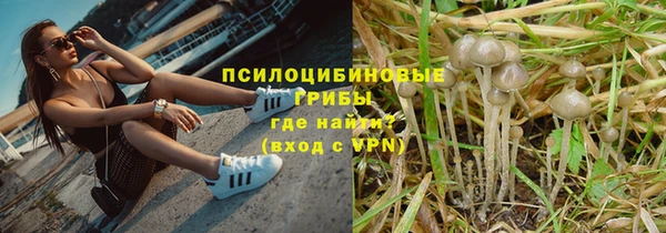 соль курить ск Кулебаки